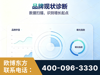 洮南-品牌现状诊断