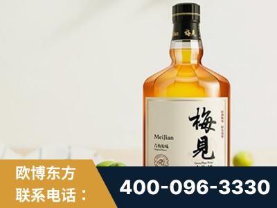 洮南-梅见青梅酒